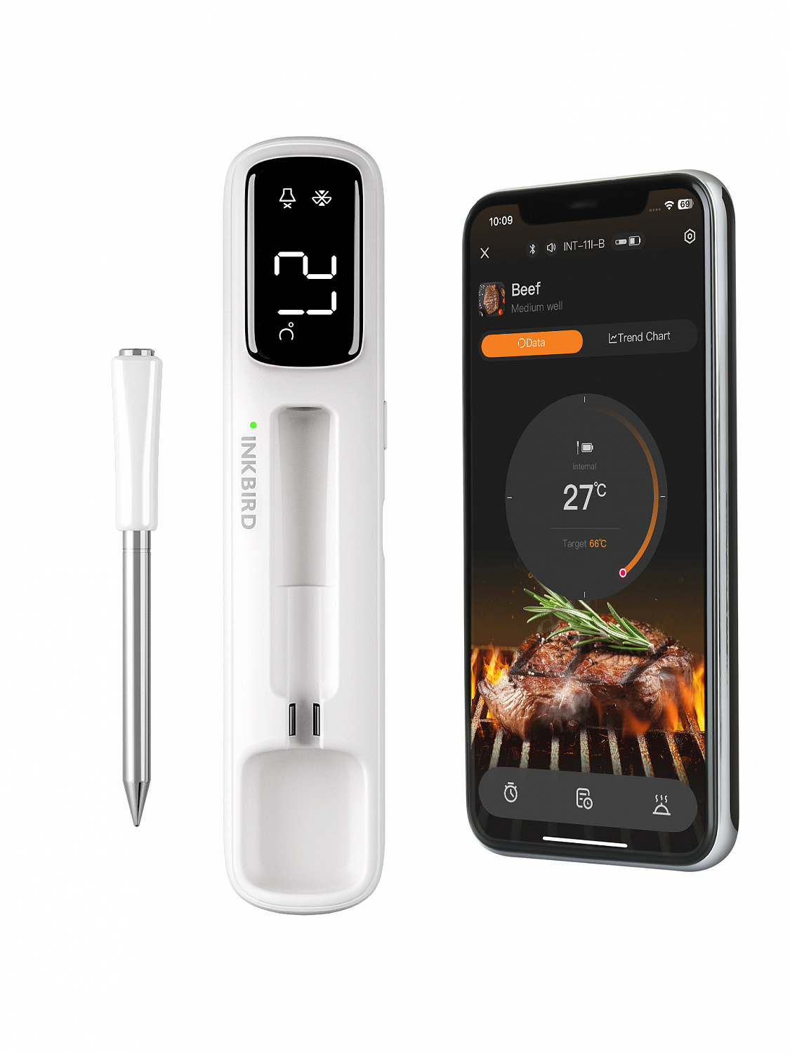 Кулинарный Bluetooth термометр INT-11IB