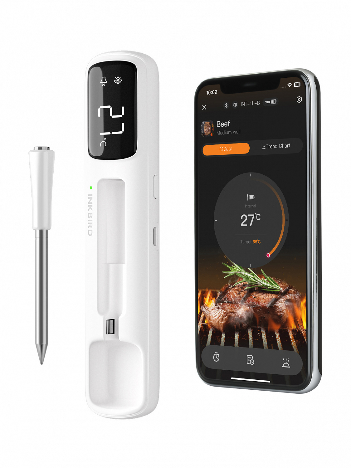 Кулинарный Bluetooth термометр INT-11IB